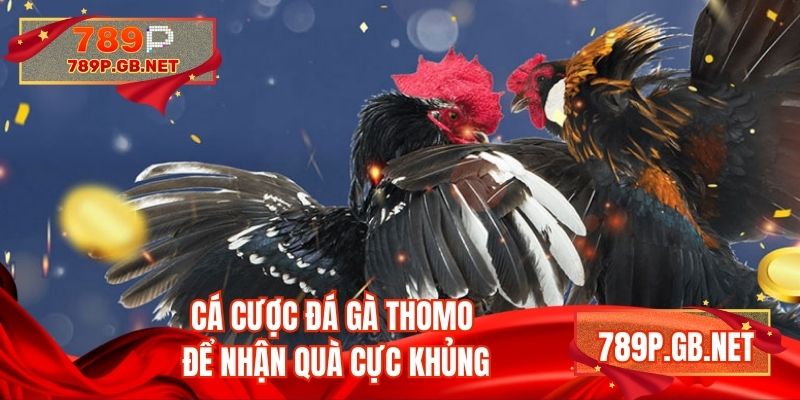Cá cược đá gà Thomo để nhận quà cực khủng