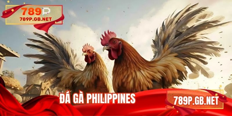 Đá gà Philippines