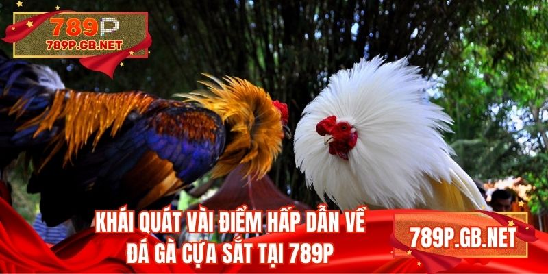 Khái quát vài điểm hấp dẫn về đá gà cựa sắt tại 789P