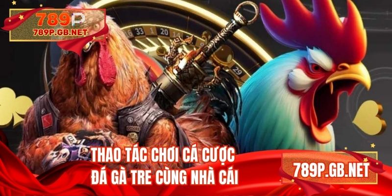 Thao tác chơi cá cược đá gà tre cùng nhà cái