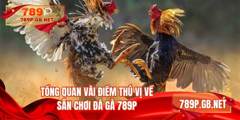 Tổng quan vài điểm thú vị về sân chơi đá gà 789P